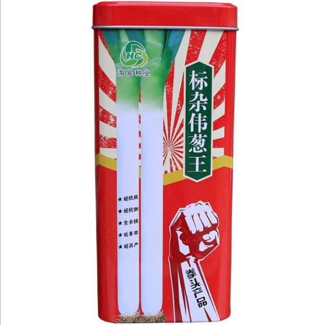 200gram growing bunching onions from seed