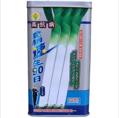 200gram perennial leek seeds