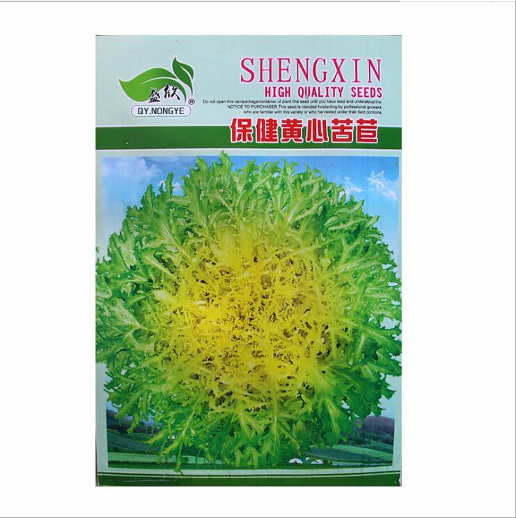 10gram endive seeds