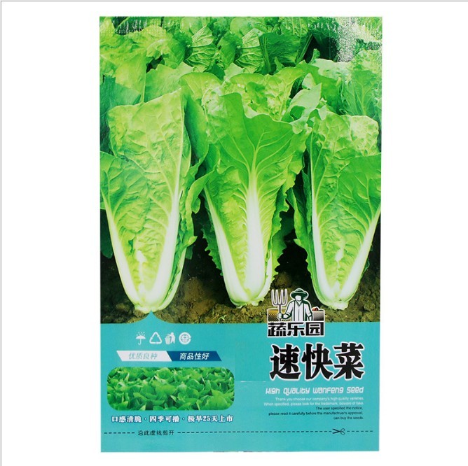 500 seeds brassica oleracea seeds
