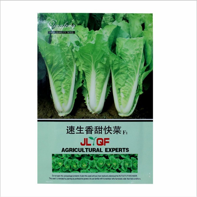 10gram chinese cabbage seeds
