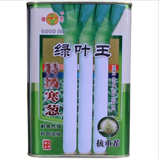 200gram giant leek seeds