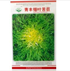 1000seeds endive plants seeds for sale
