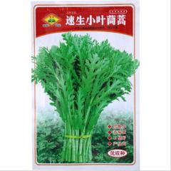 800 seeds crowndaisy chrysanthemum seeds