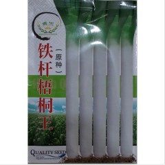 20gram wild onion seeds