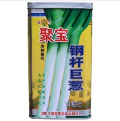 200gram pearl onion seeds