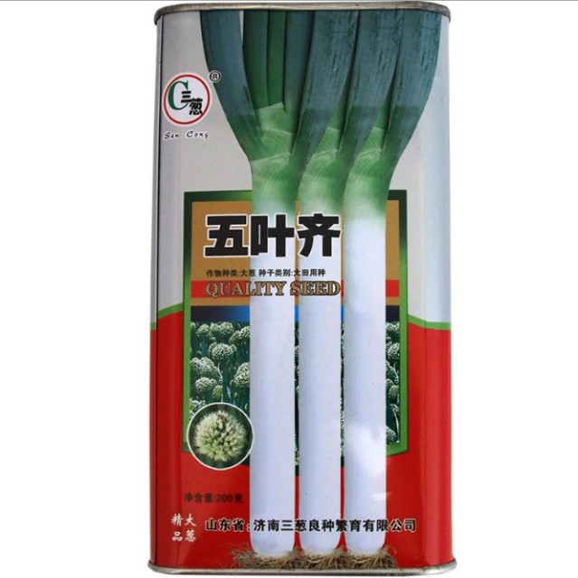 200gram organic leek seeds