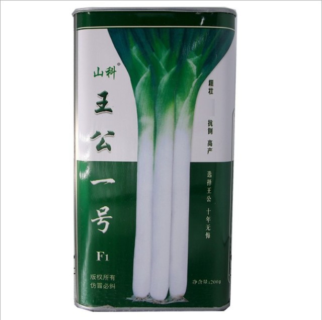 200gram leek seeds for sale