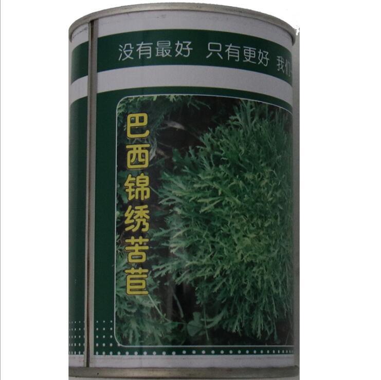 100gram endive seeds for sale