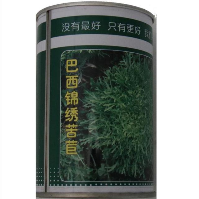 100gram endive seeds for sale