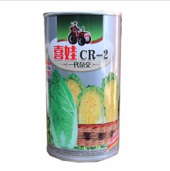 50gram cabbage collard seeds