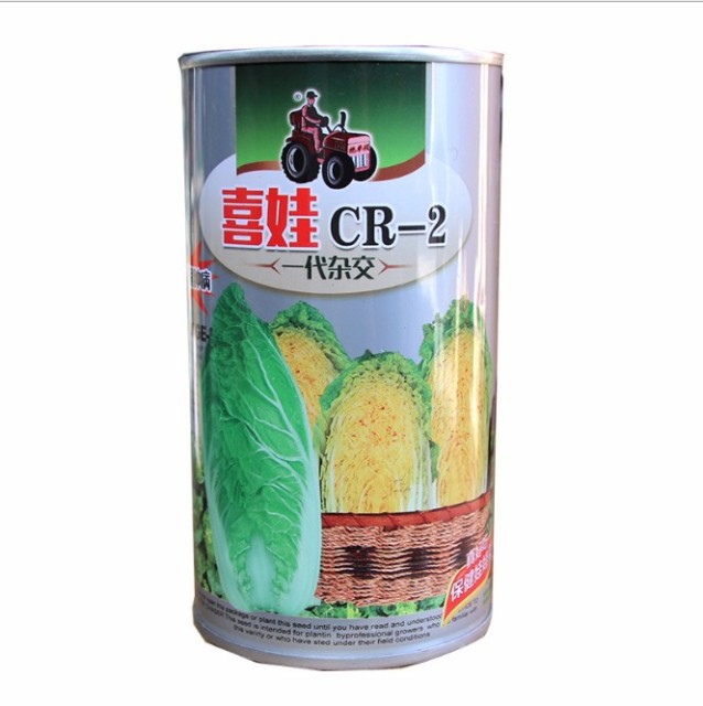 50gram cabbage collard seeds