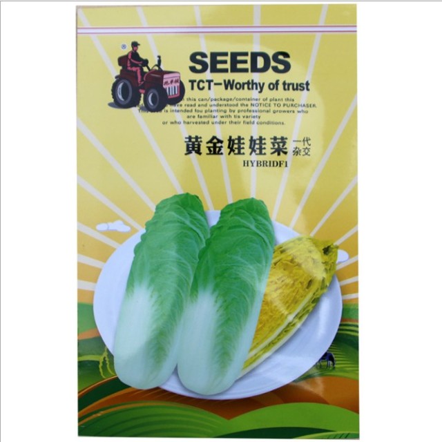 5 gram cabbage sprouting seeds