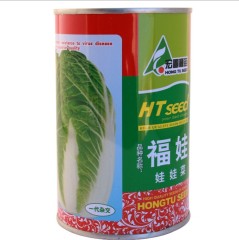 30gram purple chinese cabbage seeds