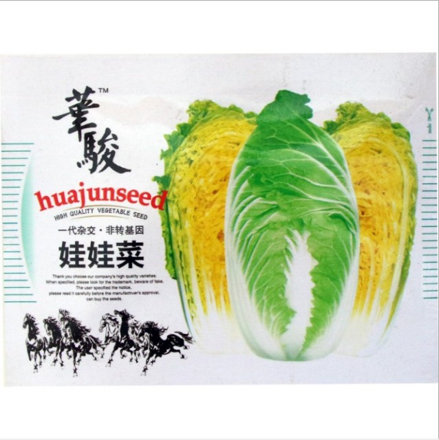 10gram napa cabbage seeds for sale