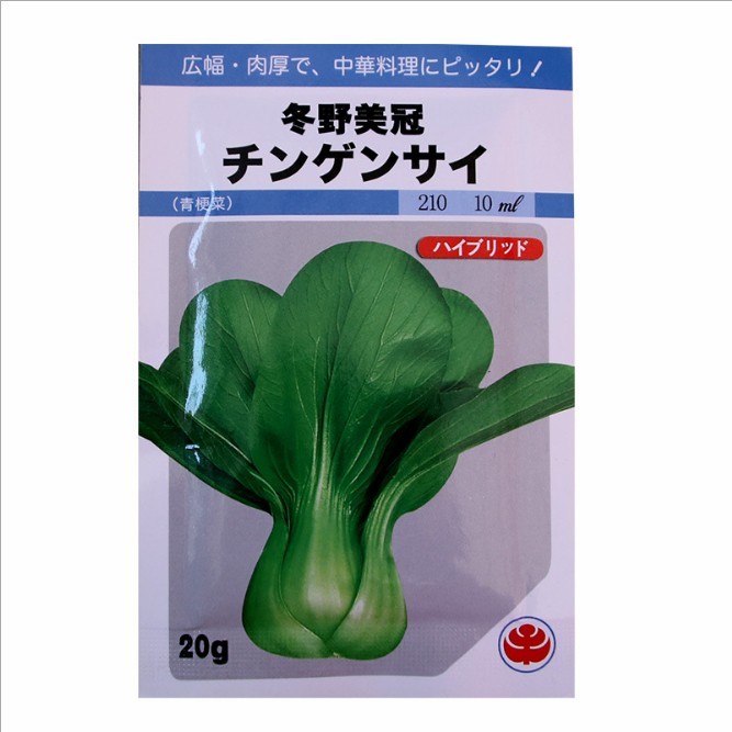 easy to plant balcony tender and soft Green Terrie seeds/PAKCHOI seeds 20gram/bags for planting