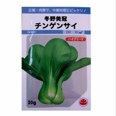 soft and tender fragrance Green Terrie seeds/PAKCHOI seeds 20gram/bags for planting