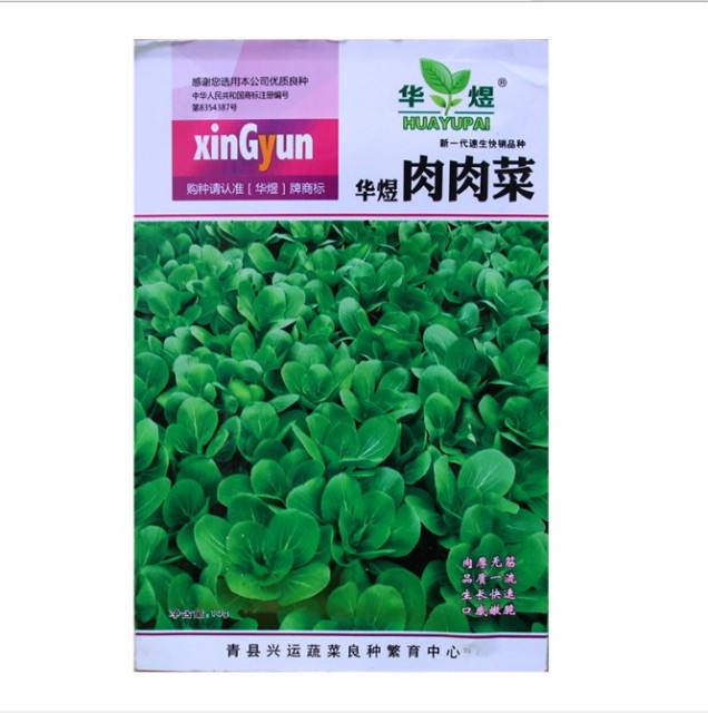 easy to plant thick fresh leaf Green Terrie seeds/FROZEN CHINGENSAI seeds 500seeds/bags for planting