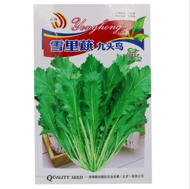 potherb mustard seeds for planting