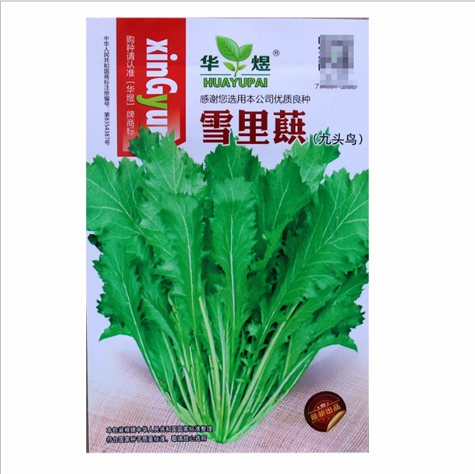 800 seeds Brassica juncea seeds for planting