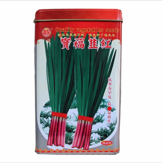 250gram best leek seeds