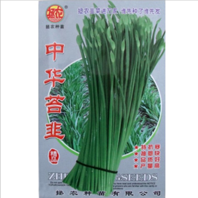 10gram allium ampeloprasum seeds