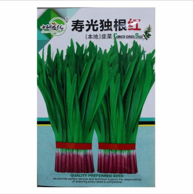 50gram organic leek seeds