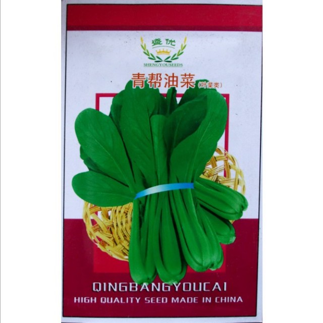 hybrid f1 top quality Pterocladia tenuis seeds/Chinese little greens seeds for planting