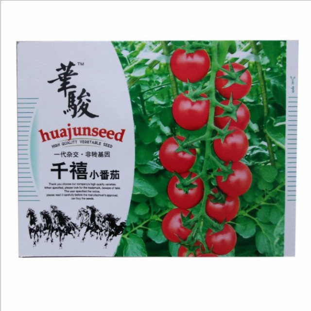 micro dwarf tomato seeds