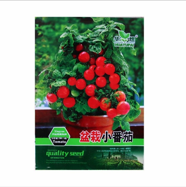 200seeds indeterminate tomato seeds