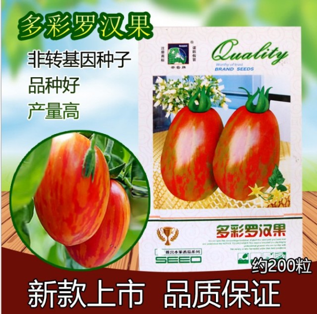 200 seeds rainbow tomato seeds