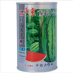 Resistance to transport fresh watermelon seeds 50gram/bags for sowing