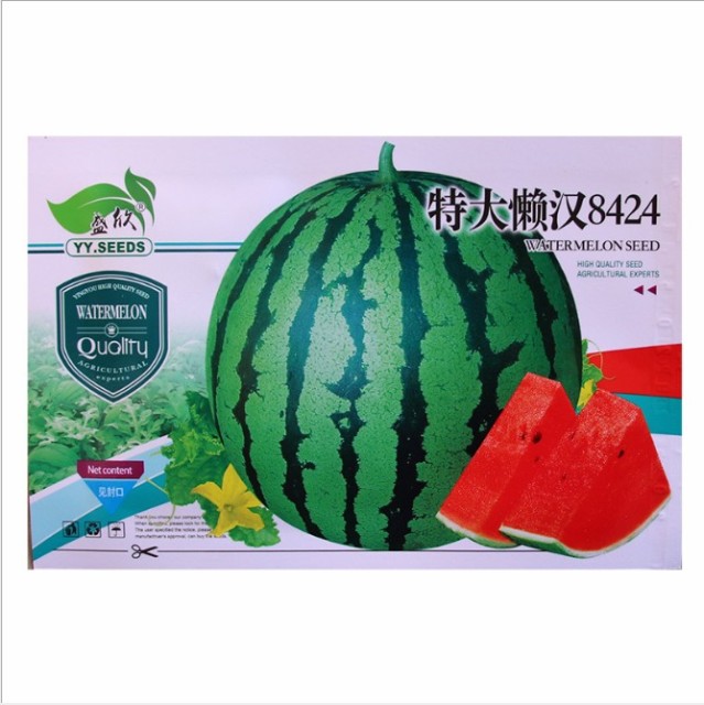 green skin red fresh watermelon seeds 50 seeds/bags