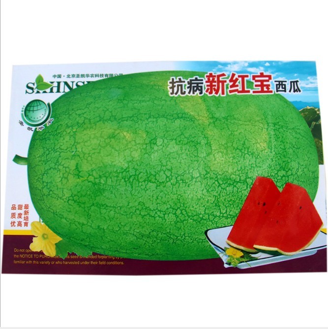 Lazy to care about watermelon seeds for planting