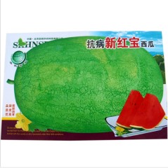 Lazy to care about watermelon seeds for planting