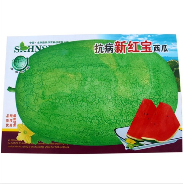 Lazy to care about watermelon seeds for planting