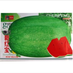 popular big size watermelon seeds 50 seeds/bags