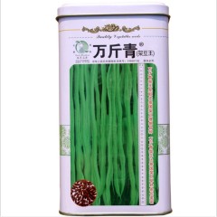 5000kg per mu high yield yard long bean seeds 500gram/bags