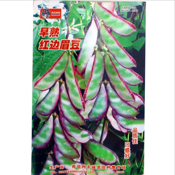 color hybrid snow peas seeds/snow bean seeds 10 seeds/bags