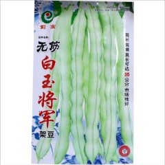 early mature white kidney bean seeds 100 gram/bags