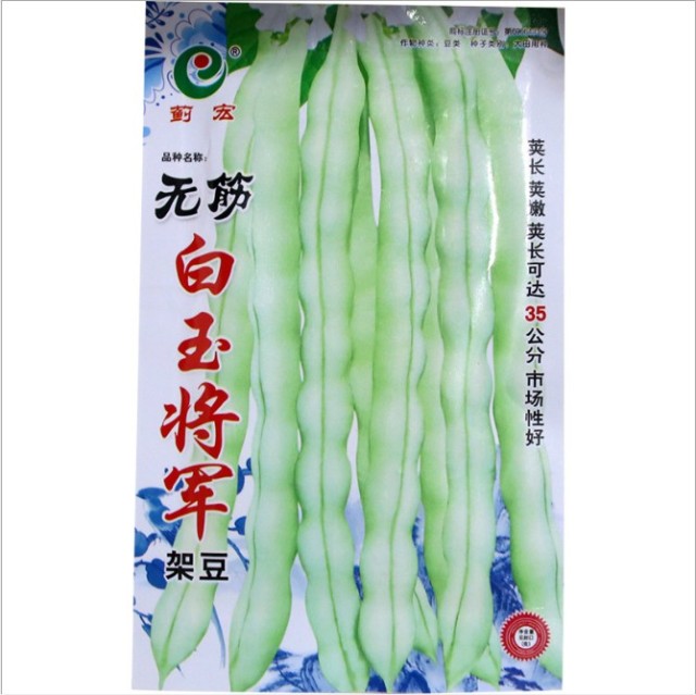 early mature white kidney bean seeds 100 gram/bags