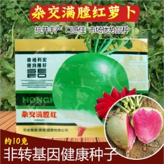 Korea radish seeds for sprouting