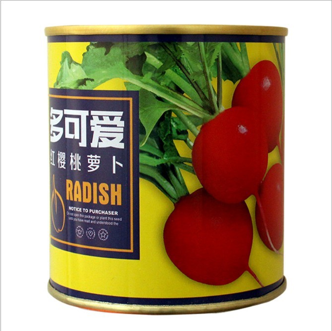 buy purple red cherry radish seeds for sprouting 100 gram