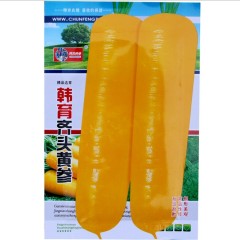 Rainbow turnip seeds/radish seeds 1000 seeds