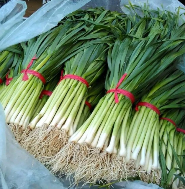 Good taste f1 garlic seeds 100gram/bags for planting