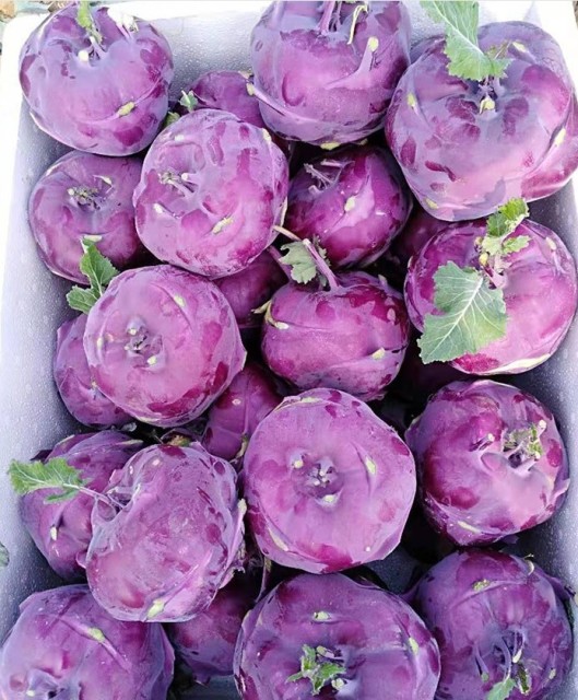 purple kohlrabi seeds 500 seeds/bags for planting