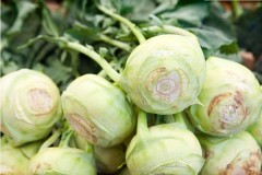 Green kohlrabi seeds for sales 5gram/bags