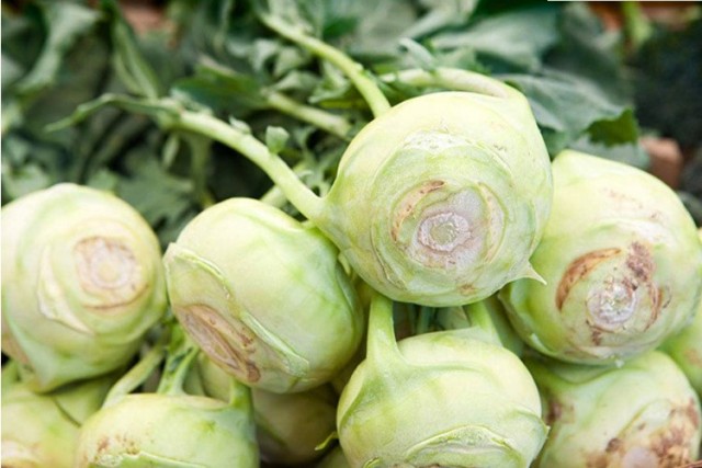 Green kohlrabi seeds for sales 5gram/bags