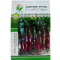 long eggplant seeds 500 seeds