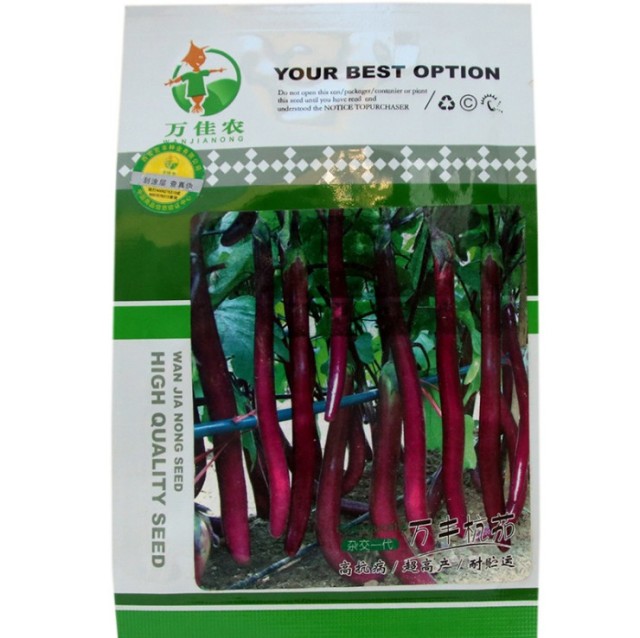 long eggplant seeds 500 seeds